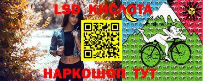 apvp Севастополь